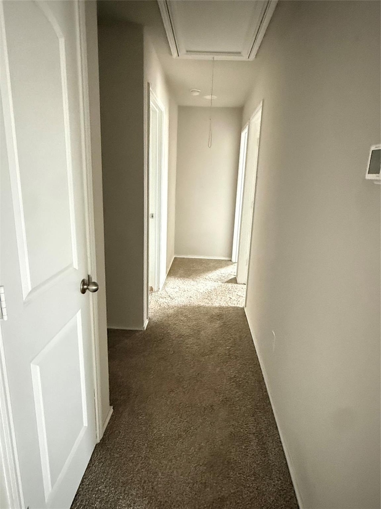 4406 Andorno Dr - Photo 20