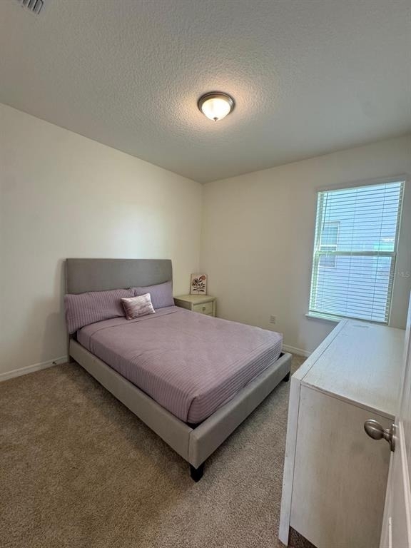 16236 Carraway Bay Alley - Photo 9