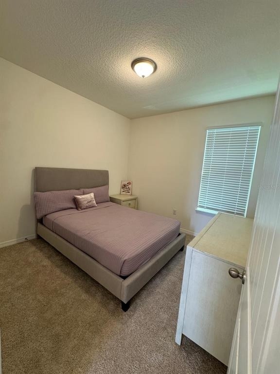 16236 Carraway Bay Alley - Photo 8