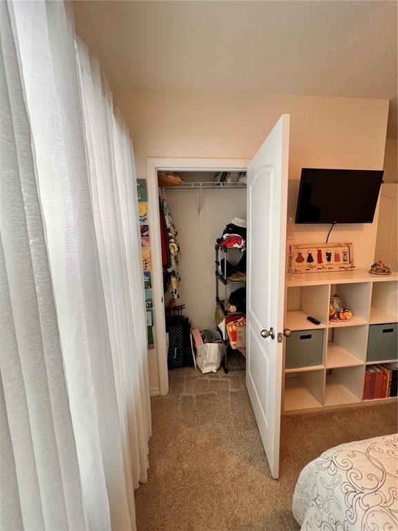 1267 Iguana Loop - Photo 7