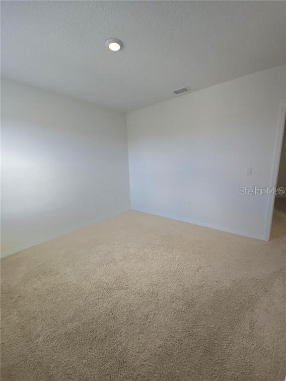 575 Tortugas Street - Photo 18
