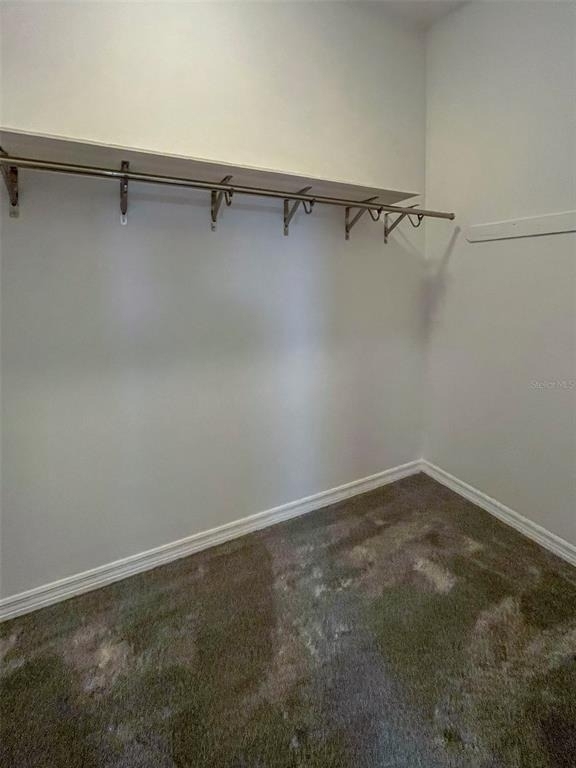 3957 Proctor Road - Photo 9