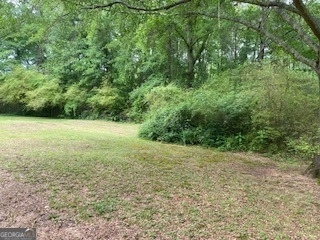 1117 Boss Hardy Road - Photo 3