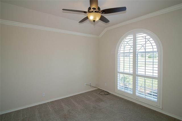 1200 Bloom Street - Photo 4