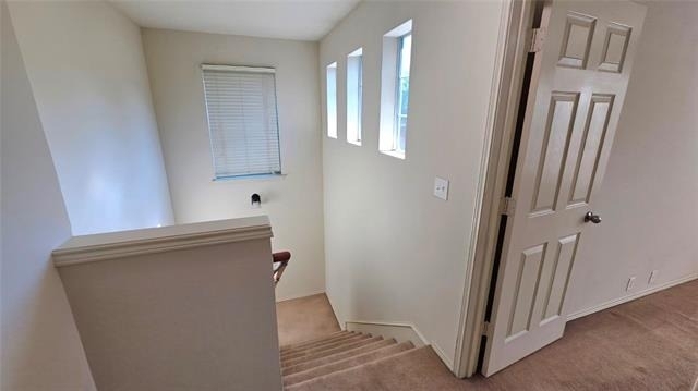 501 Jeans Creek Drive - Photo 9