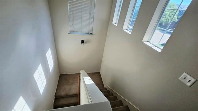 501 Jeans Creek Drive - Photo 8