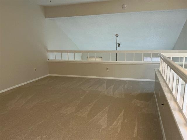 923 Turtle Lake Boulevard - Photo 11