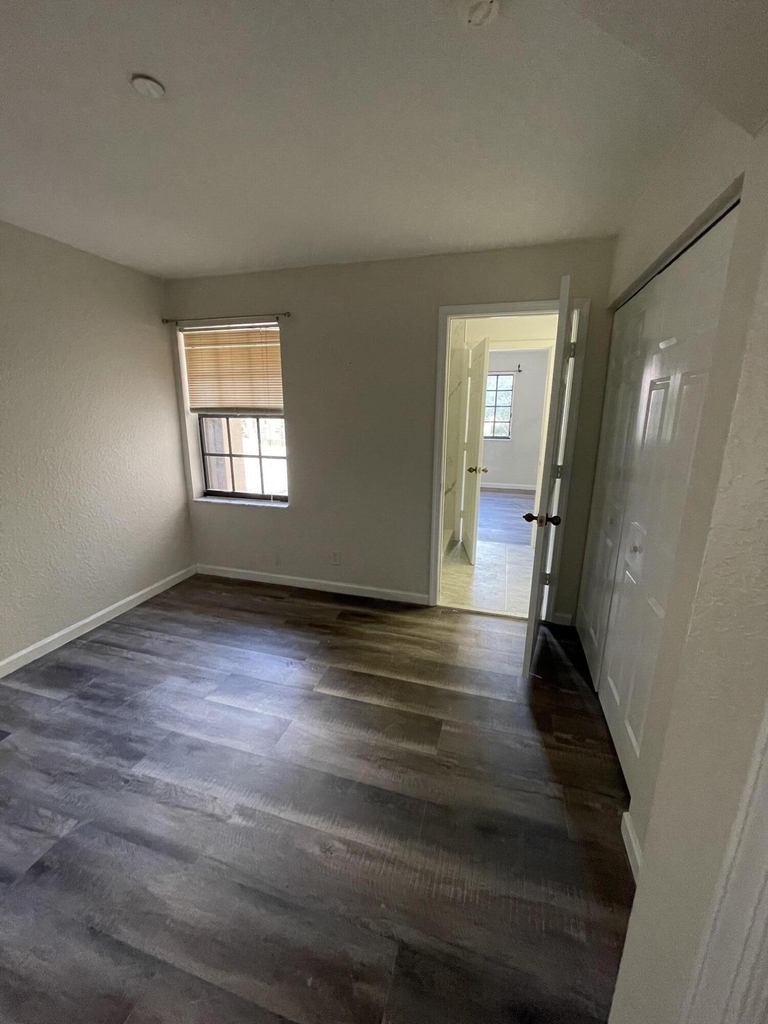 3909 Tree Top Drive - Photo 12