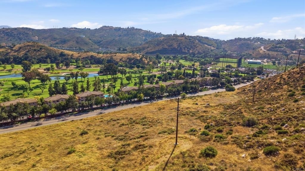3231 Dehesa Road - Photo 39