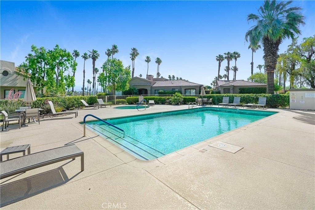 39856 Narcissus - Photo 17