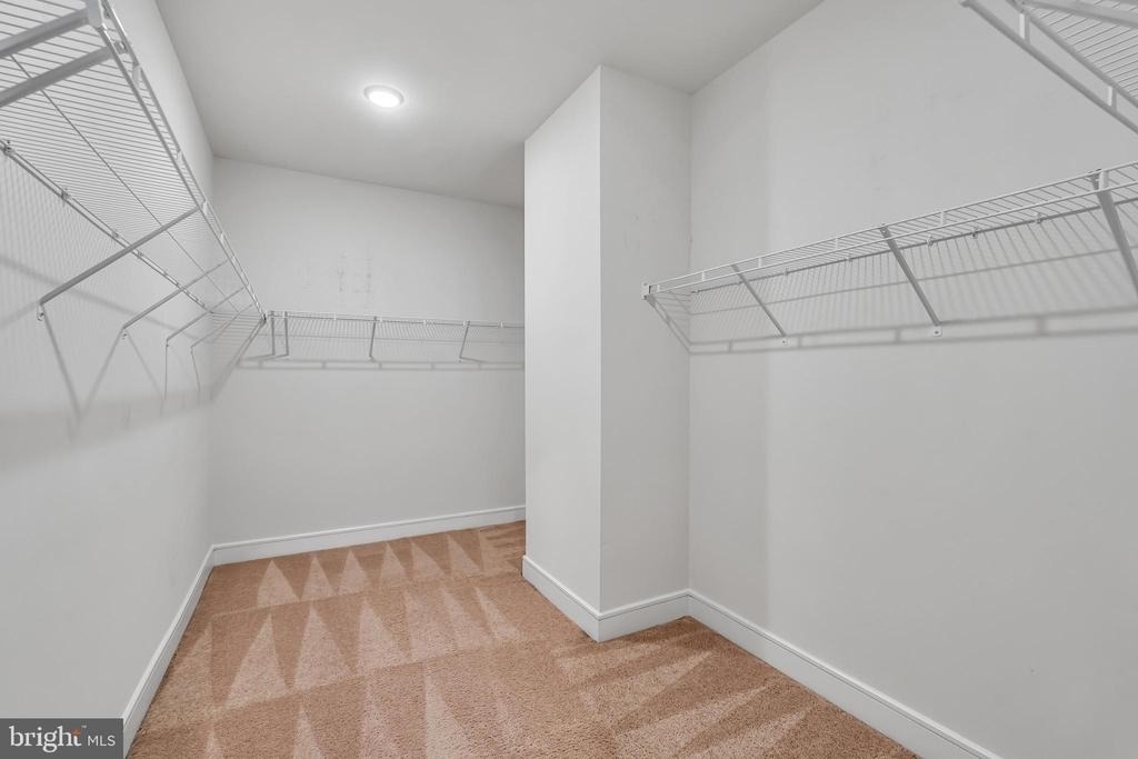42281 Belgrave Gardens - Photo 33