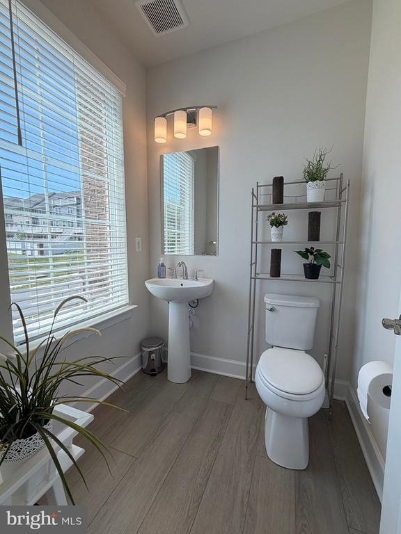 10802 Foxtrot Circle - Photo 4