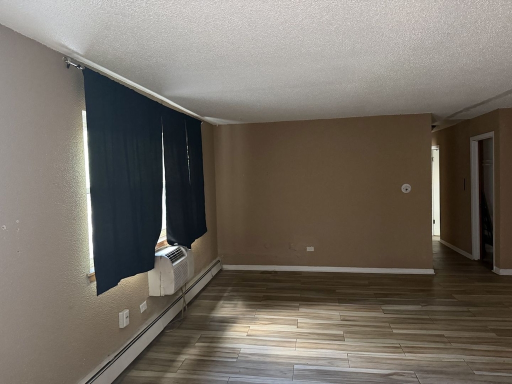 950 E 86th Street - Photo 3