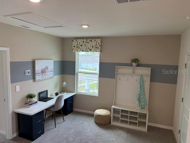 10507 Tucker Road - Photo 12