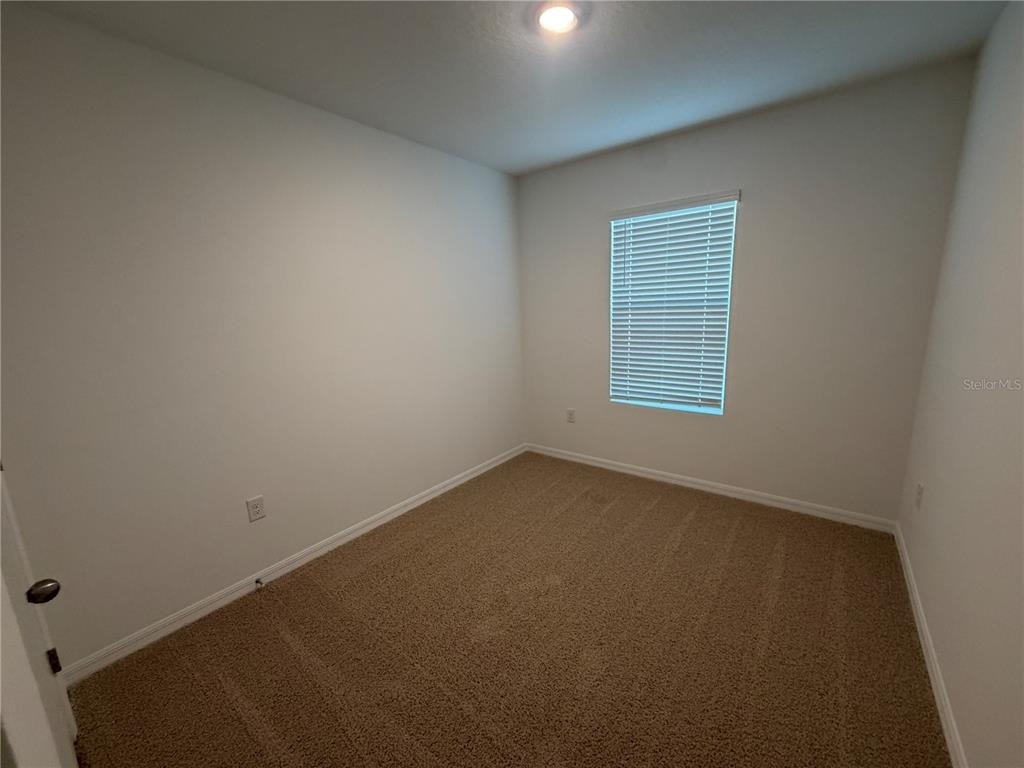 32538 Midsummer Night Lane - Photo 19