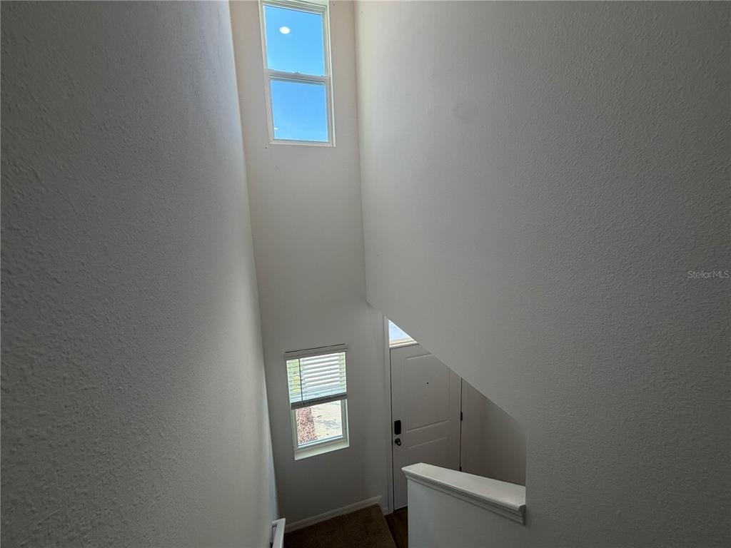 32538 Midsummer Night Lane - Photo 12