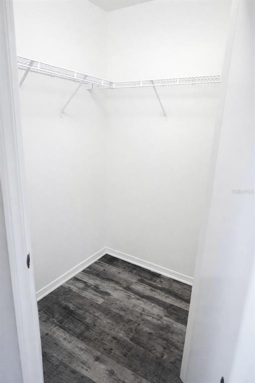 28202 Brokenmead Path - Photo 11