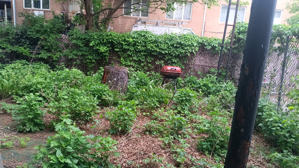  east 24th - Photo 2
