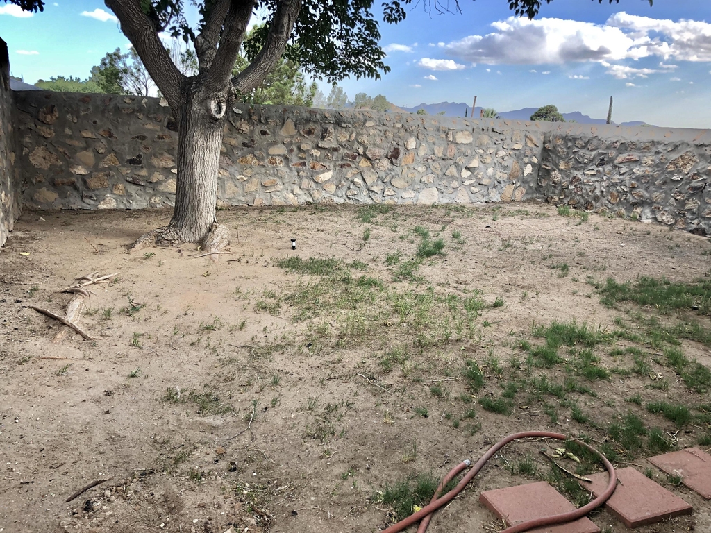 7136 Orizaba Avenue - Photo 25