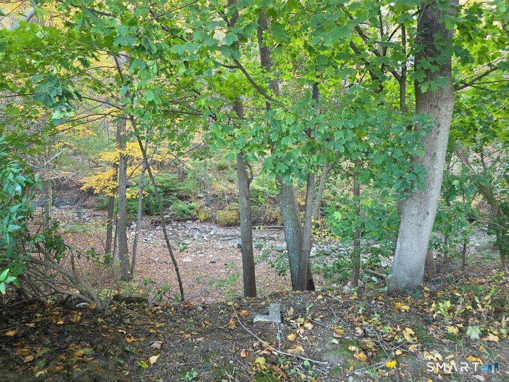 481 Bunker Hill Avenue - Photo 12