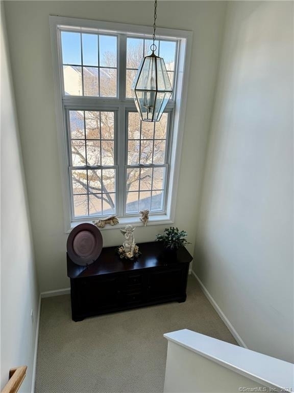 4003 Hancock Drive - Photo 9