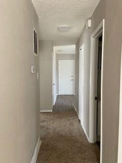 5433 Encino Road - Photo 6