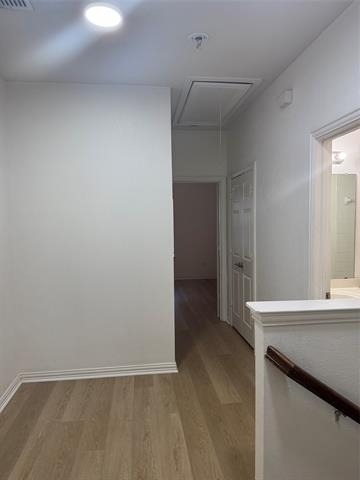 8745 Manhattan Avenue - Photo 11