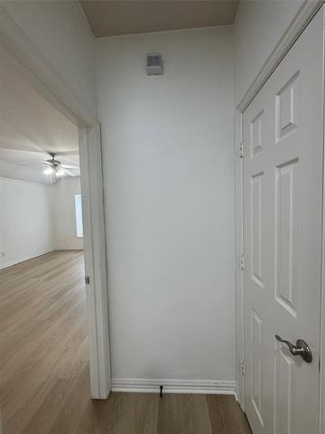 8745 Manhattan Avenue - Photo 10