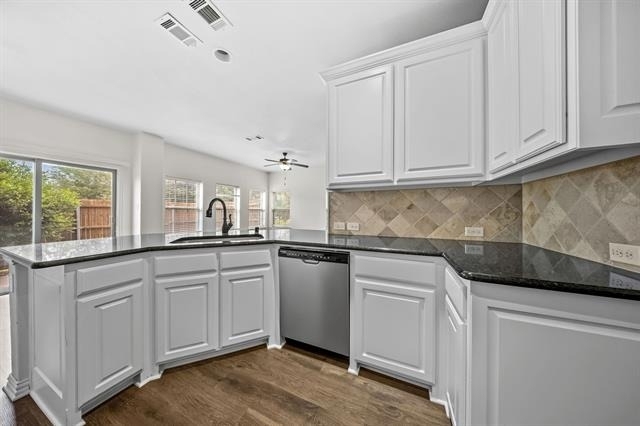 2245 Caniesto Street - Photo 4
