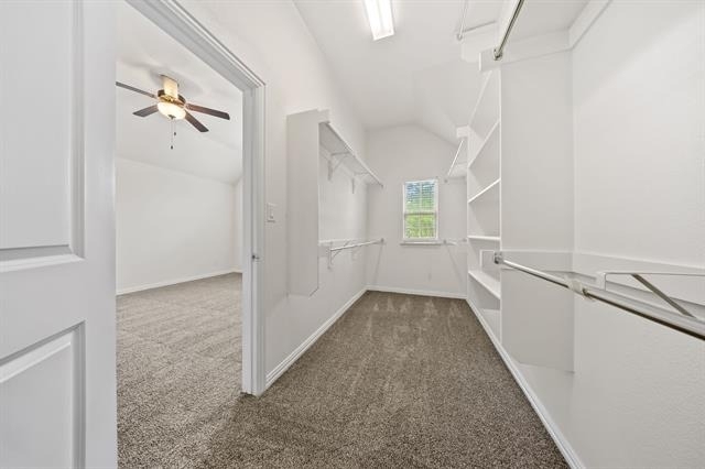2245 Caniesto Street - Photo 18