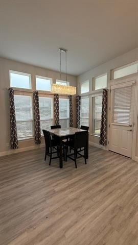 2726 Geranium Lane - Photo 8