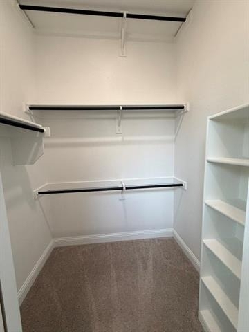 2726 Geranium Lane - Photo 10