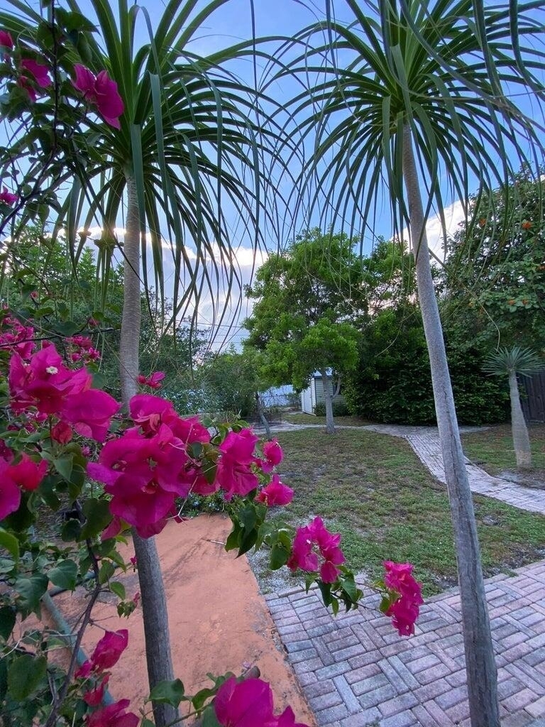 1209 N M Street - Photo 9