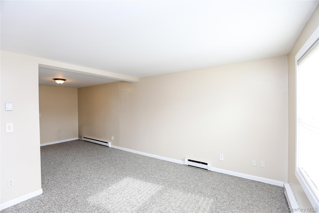 120 Hinsdale Street - Photo 10