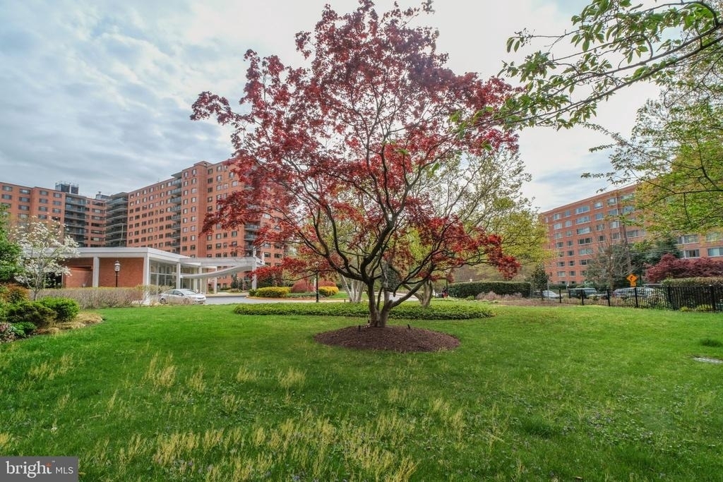 4201 Cathedral Avenue Nw - Photo 40
