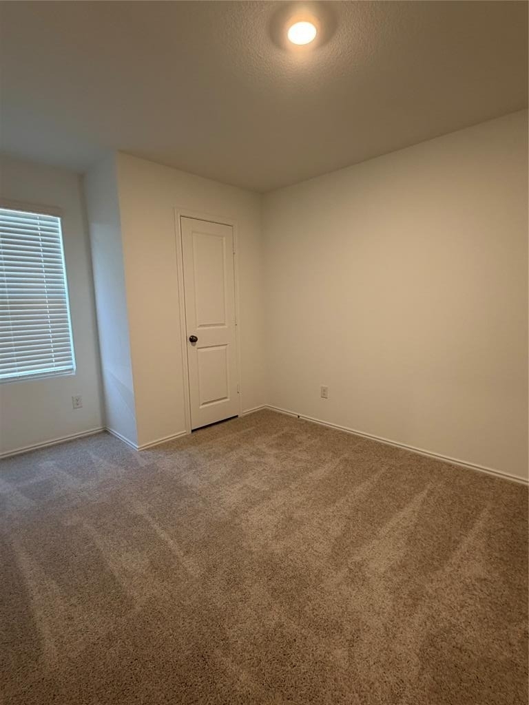 208 Skyfire St - Photo 12