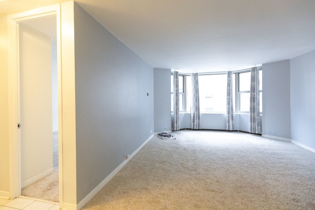 535 N Michigan Avenue - Photo 4