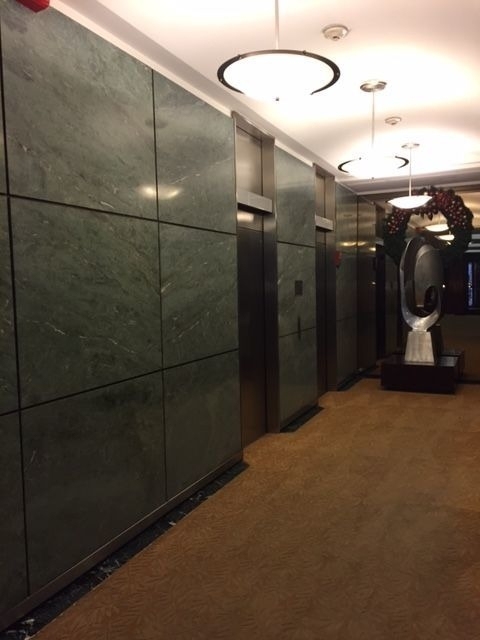 535 N Michigan Avenue - Photo 12