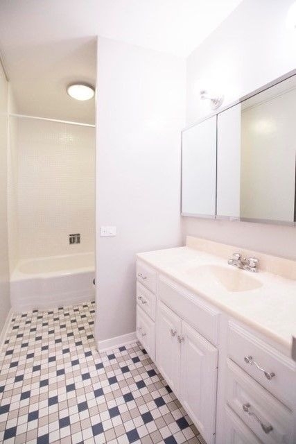 535 N Michigan Avenue - Photo 8