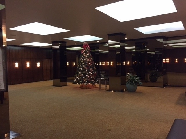 535 N Michigan Avenue - Photo 11
