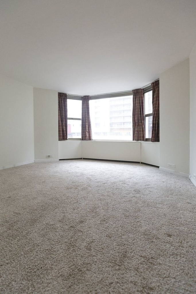 535 N Michigan Avenue - Photo 6