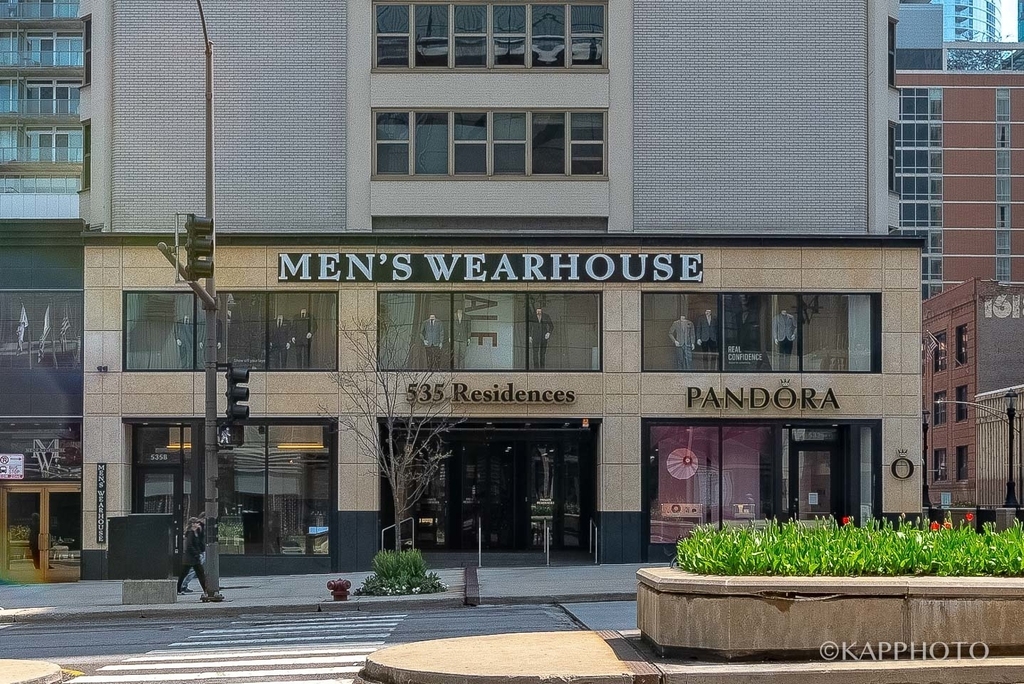 535 N Michigan Avenue - Photo 2