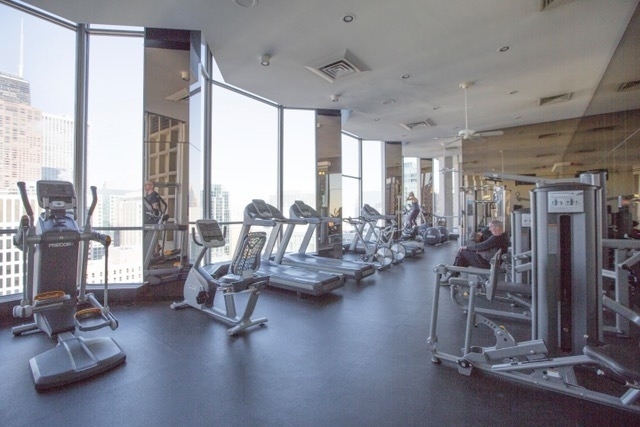 535 N Michigan Avenue - Photo 14