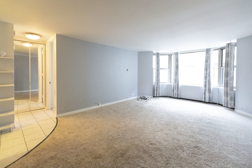 535 N Michigan Avenue - Photo 3