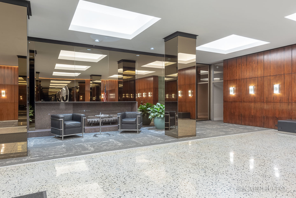 535 N Michigan Avenue - Photo 9