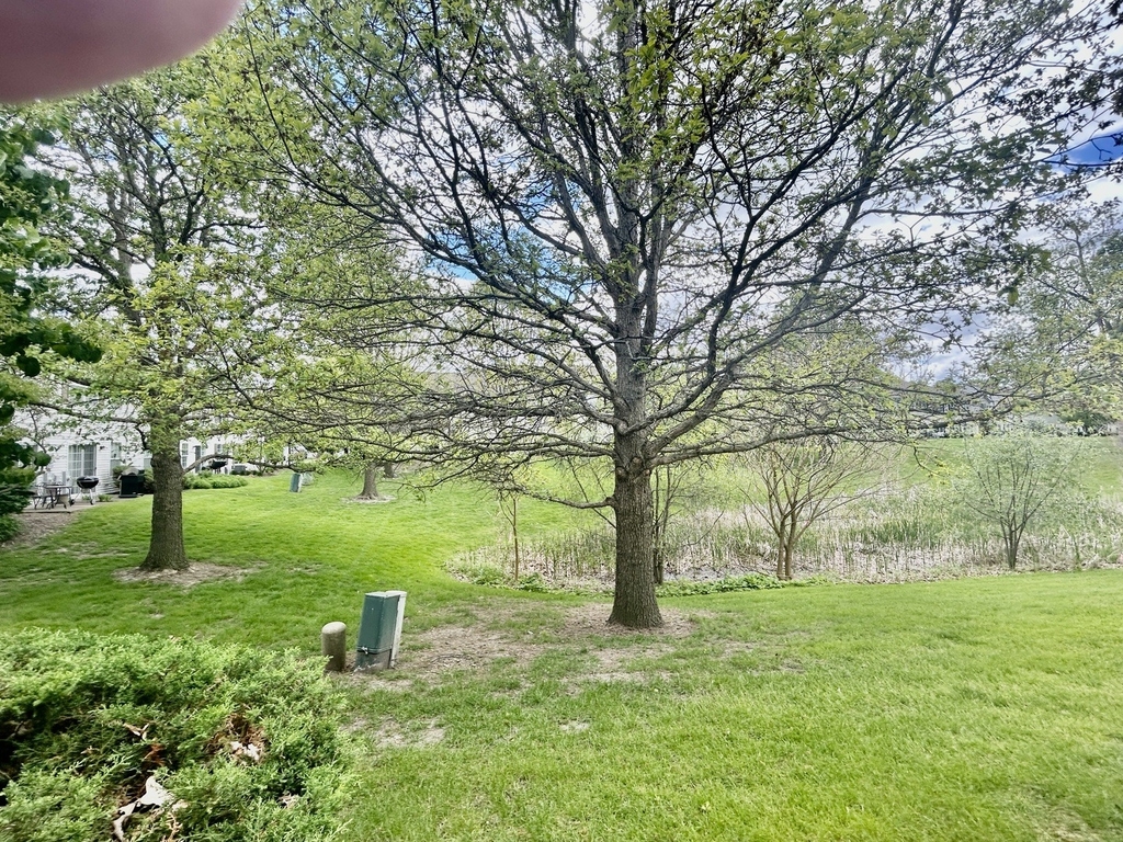 2482 Stoughton Circle - Photo 19