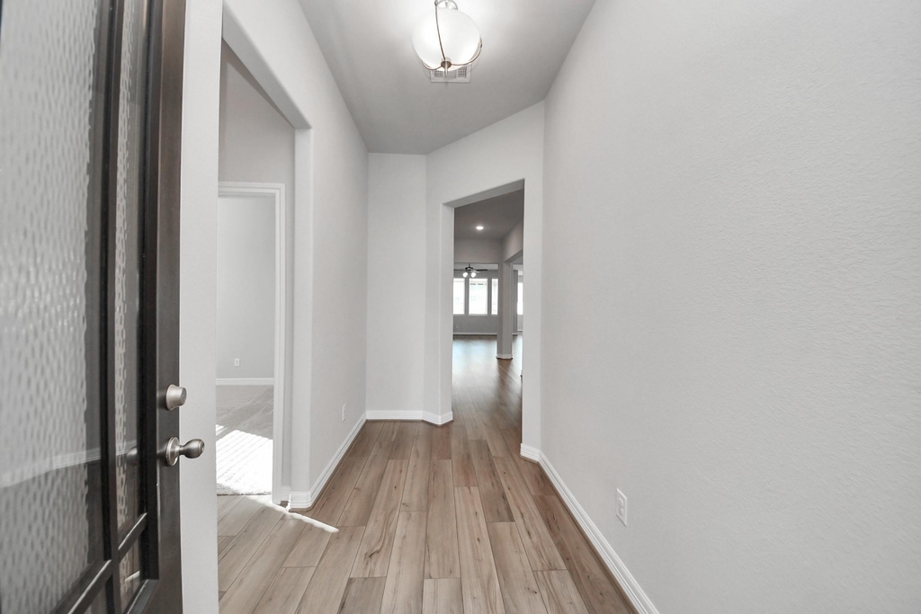 2968 Golden Dust Drive - Photo 4