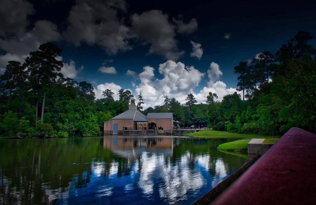 23 Shellbark - Photo 26