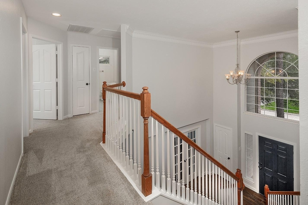 23 Shellbark - Photo 16