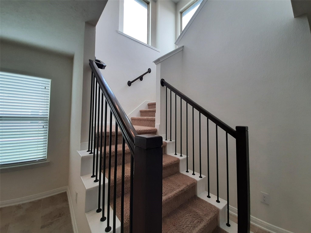 4834 Lucky Fawn Lane - Photo 11